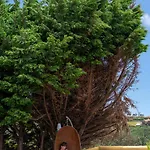 Holiday home Roque By An Island Calheta (Madeira)