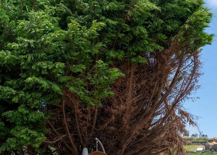 Casa vacanze Roque By An Island Calheta (Madeira)